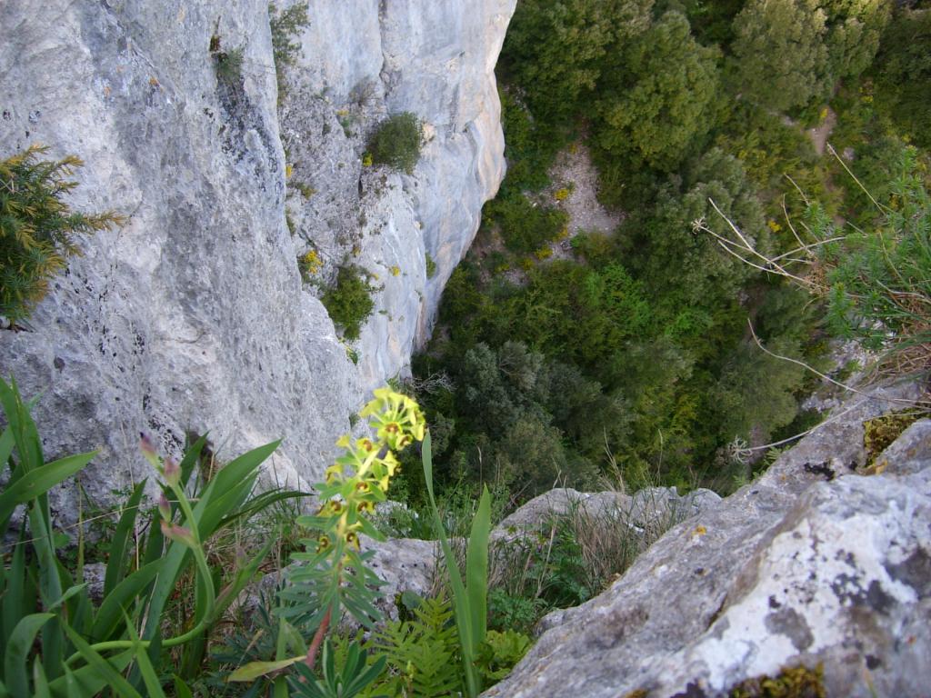 Foto de Etxauri (Navarra), España