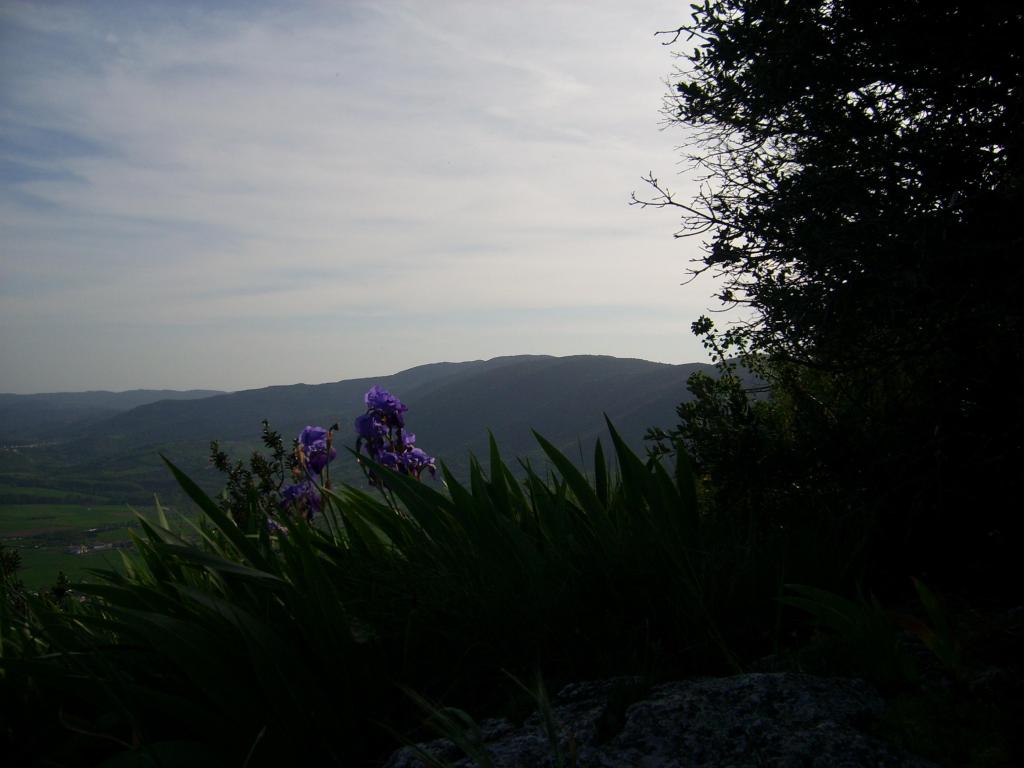 Foto de Etxauri (Navarra), España