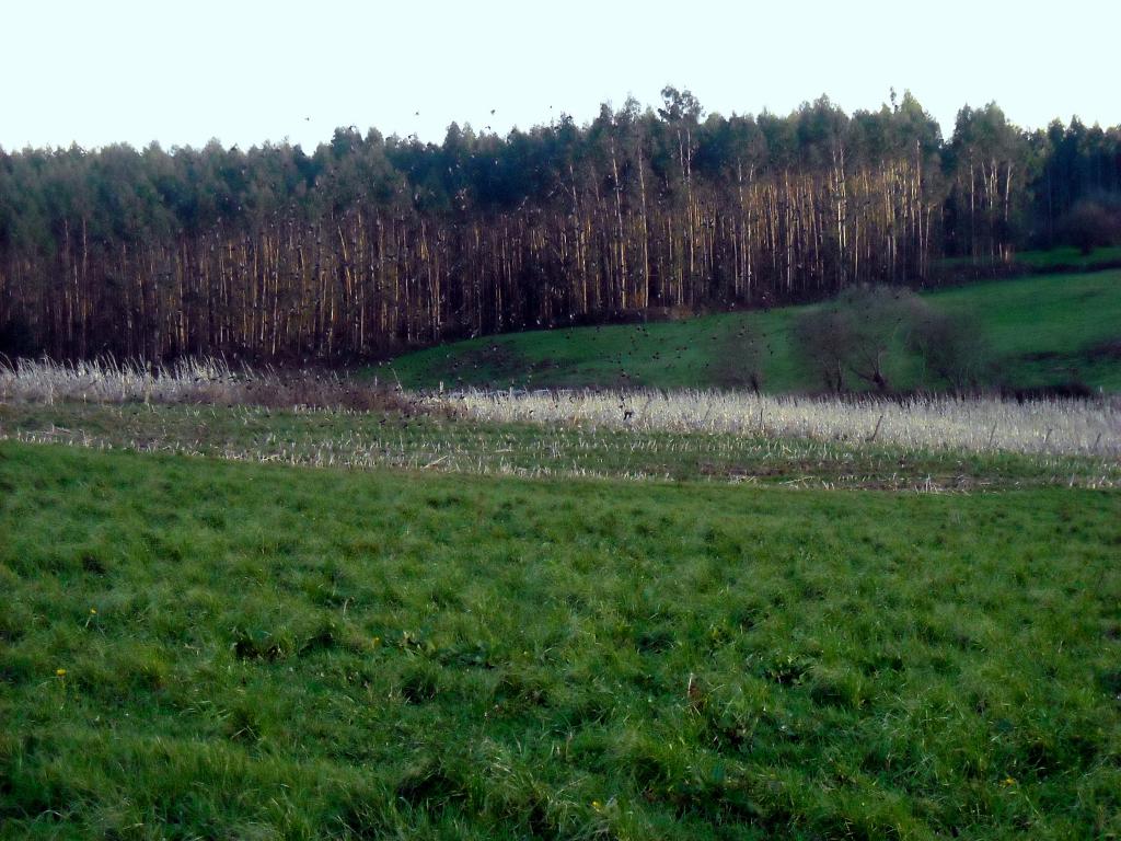 Foto de Parbayon (Cantabria), España