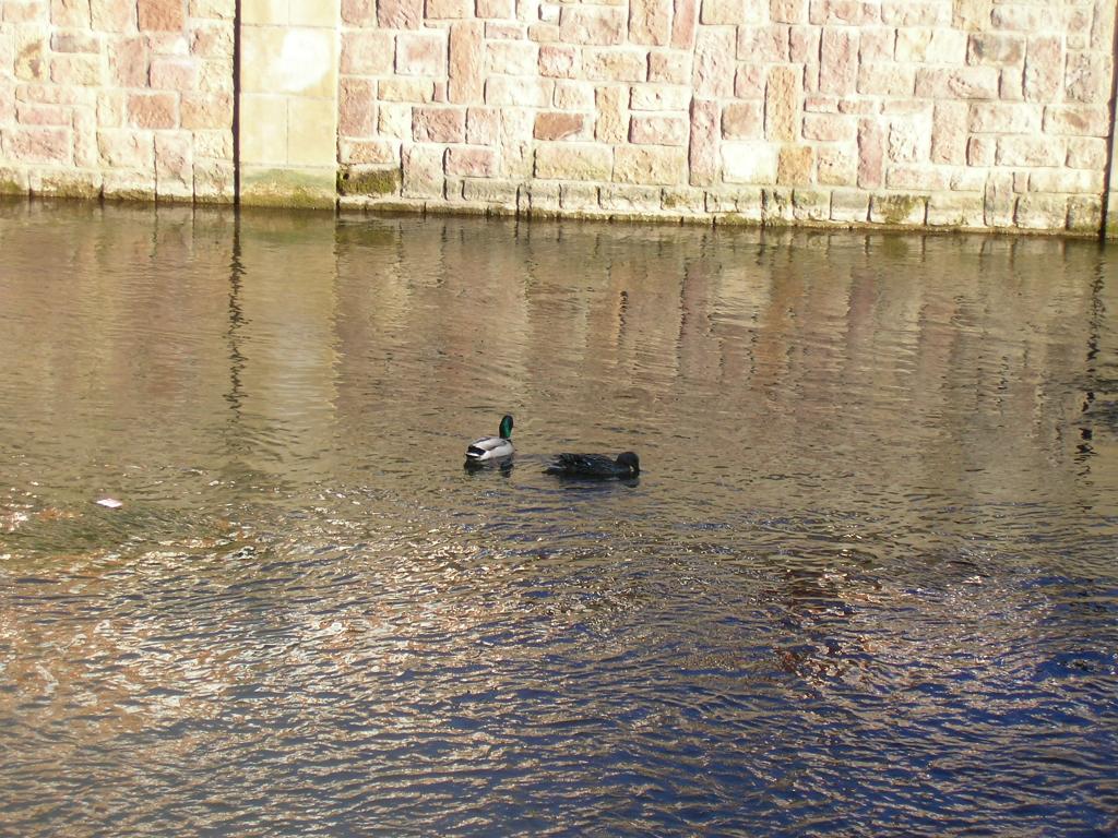 Foto de Reinosa (Cantabria), España