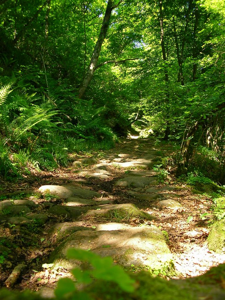 Foto de Reinosa (Cantabria), España
