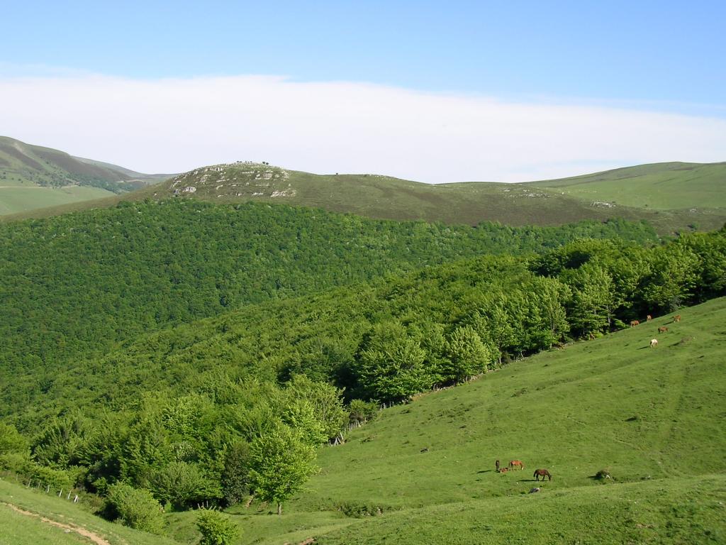 Foto de Reinosa (Cantabria), España