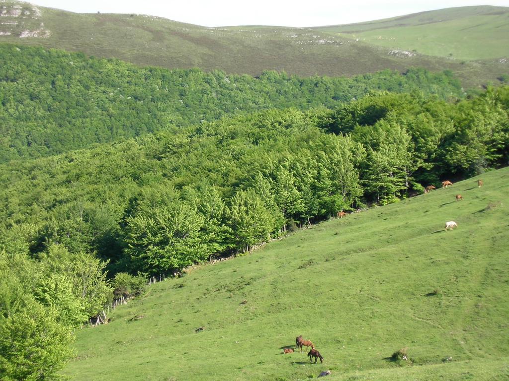 Foto de Reinosa (Cantabria), España