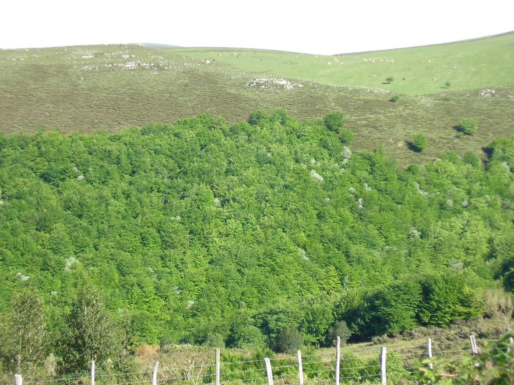 Foto de Reinosa (Cantabria), España
