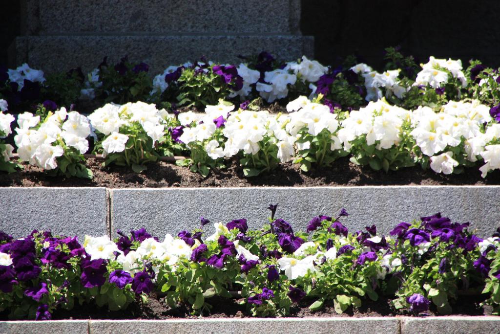 Foto de San Lorenzo de El Escorial (Madrid), España