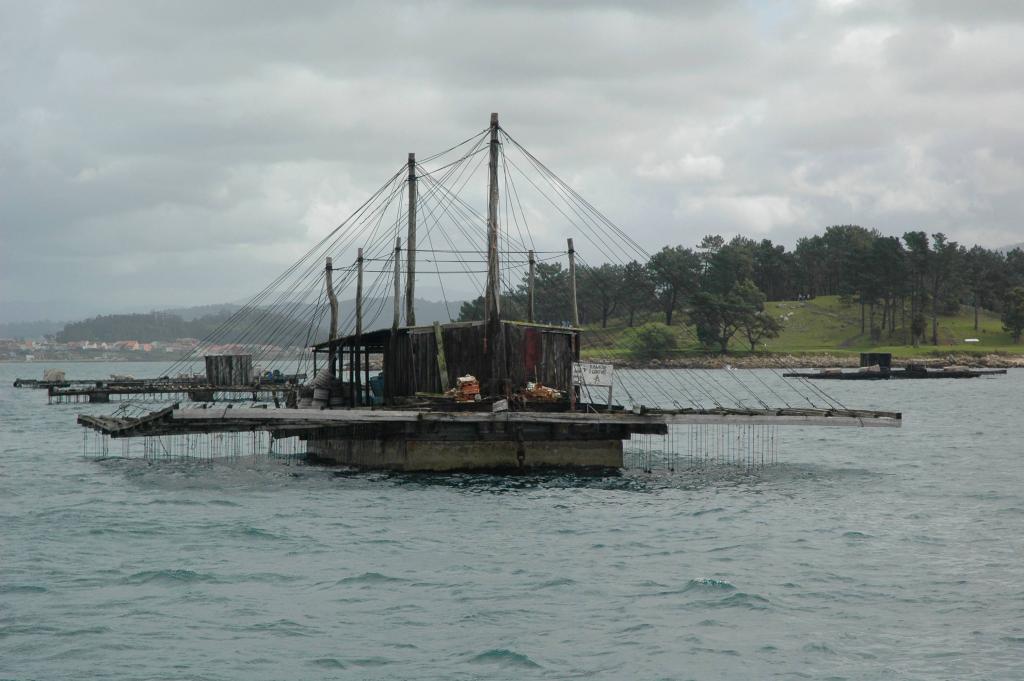 Foto de Vigo (Pontevedra), España