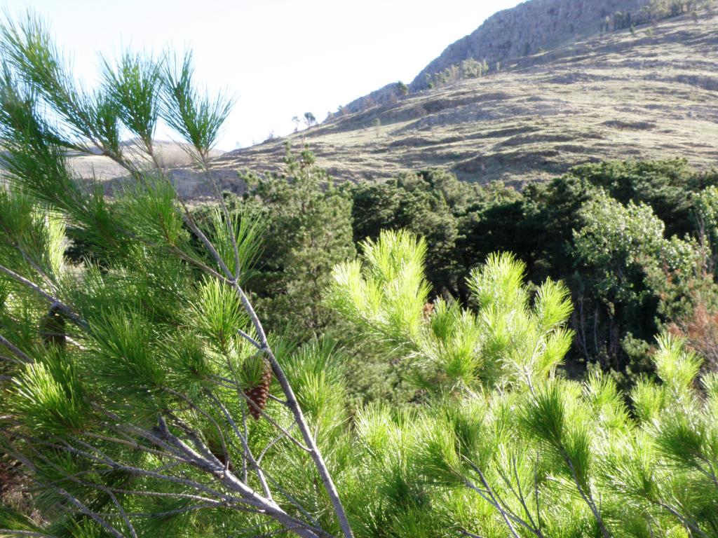 Foto de Villa Ventana (Buenos Aires), Argentina