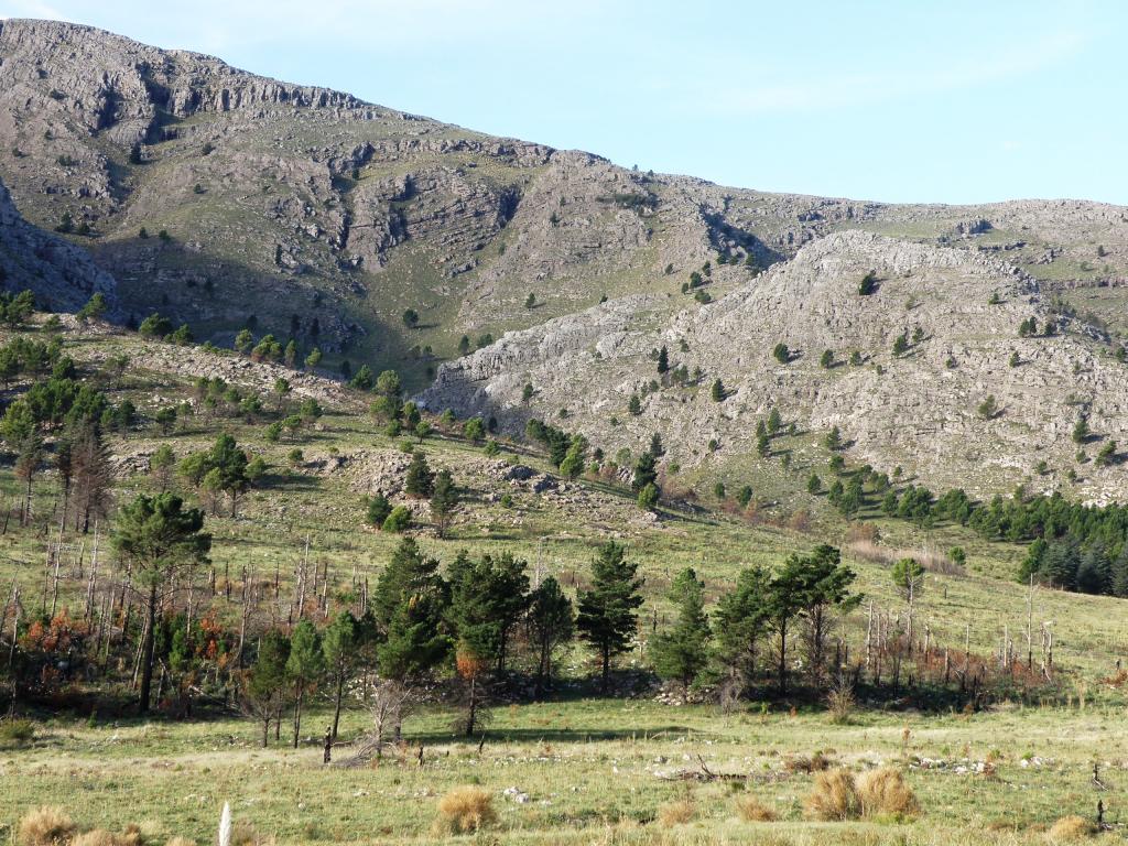 Foto de Villa Ventana (Buenos Aires), Argentina
