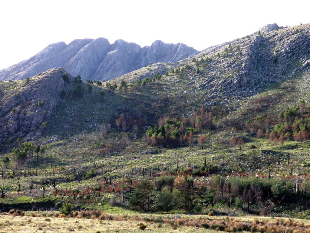 Foto de Villa Ventana (Buenos Aires), Argentina