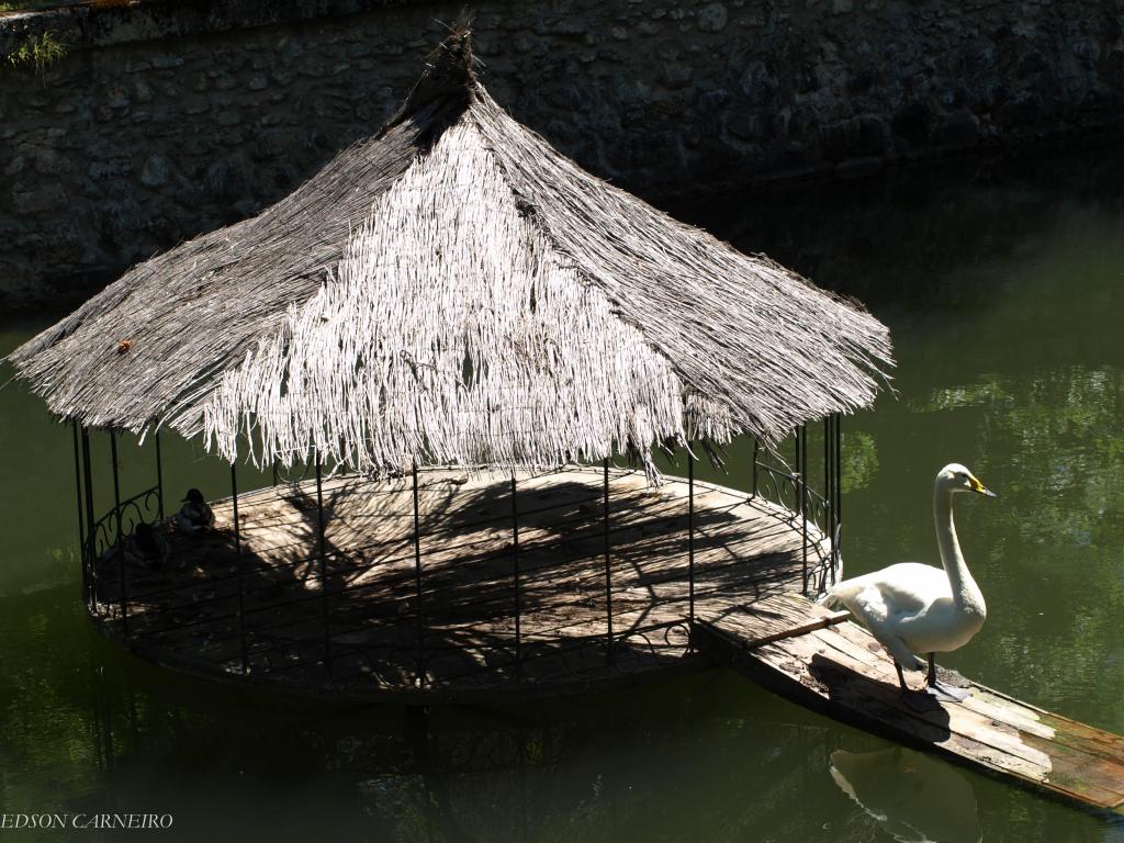 Foto de San Ildefonso (Segovia), España