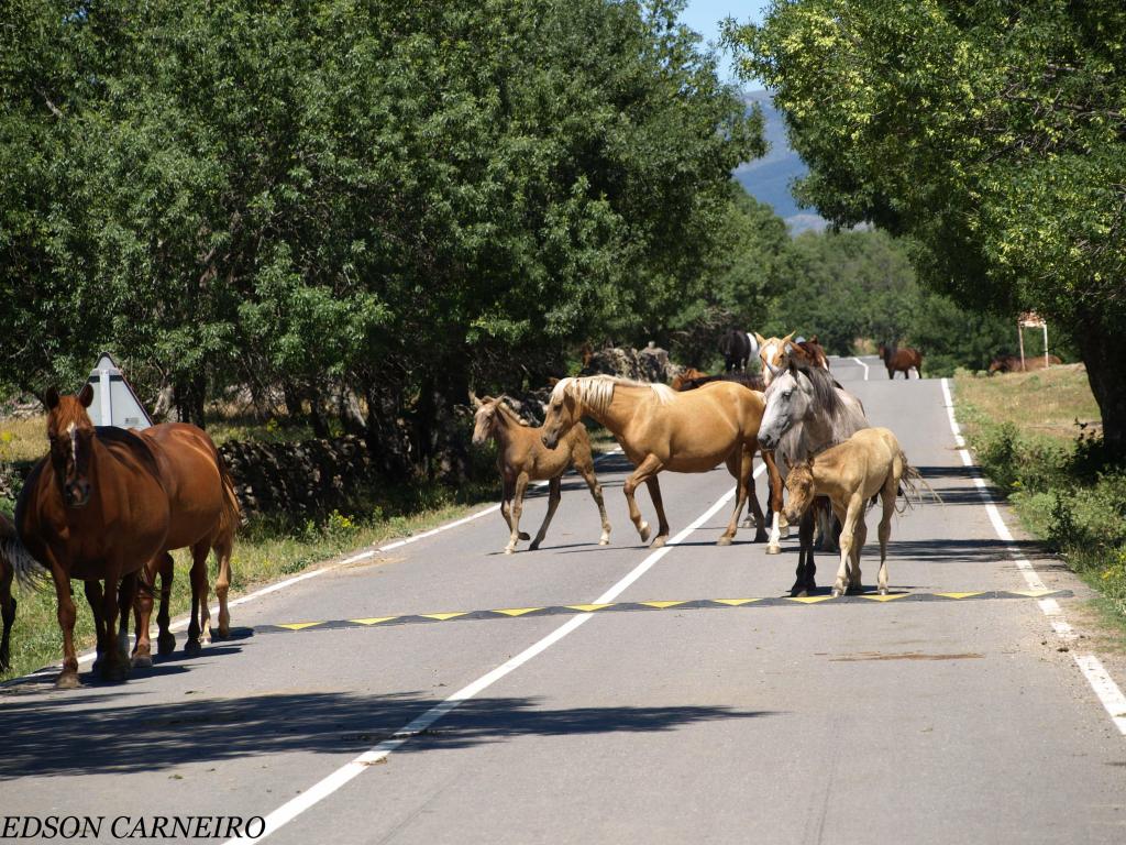 Foto de Riofrio de Riaza (Segovia), España
