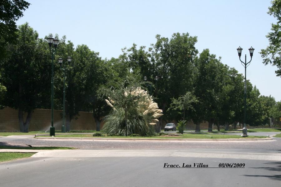 Foto de Torreon Coah, México