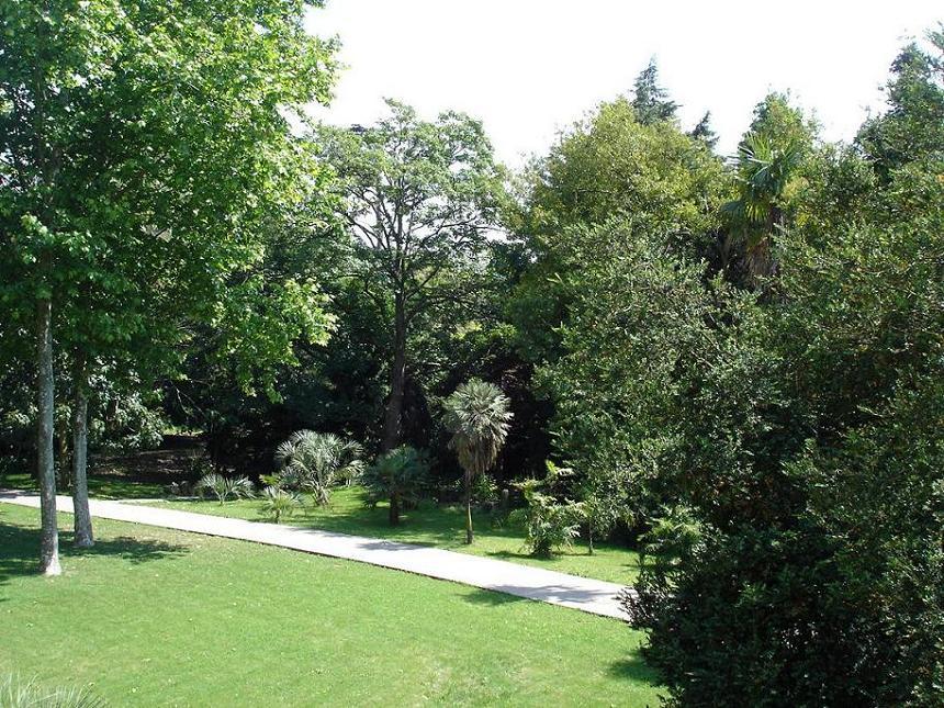 Foto de Oporto, Portugal