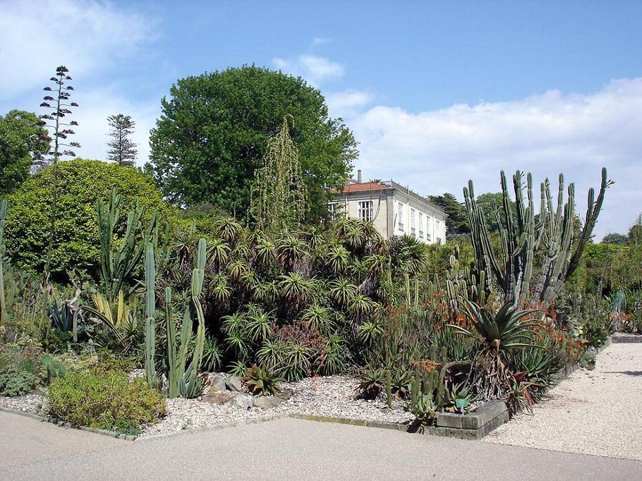 Foto de Oporto, Portugal