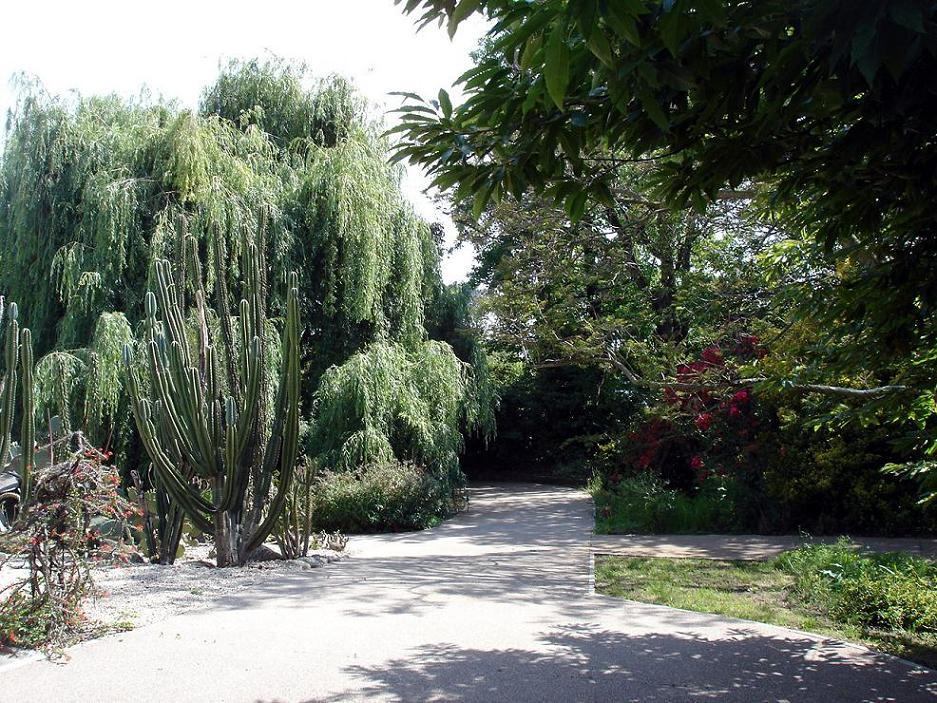 Foto de Oporto, Portugal