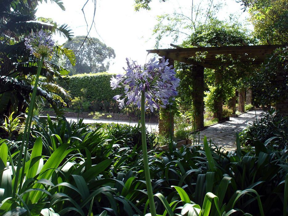 Foto de Oporto, Portugal