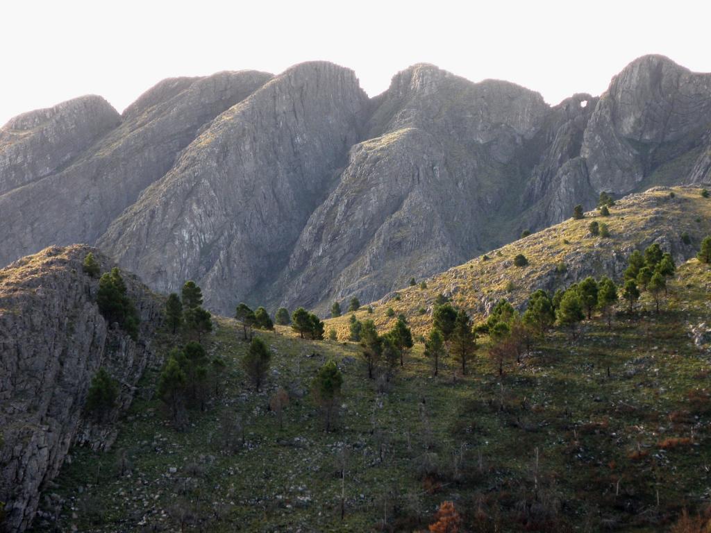 Foto de Villa Ventana (Buenos Aires), Argentina