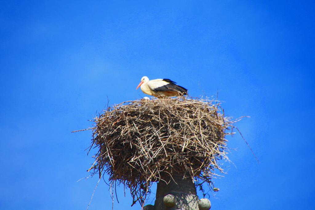 Foto de Bonilla de la Sierra (Ávila), España