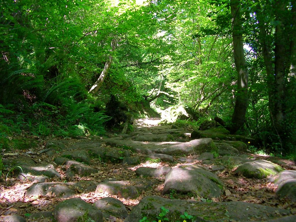 Foto de Reinosa (Cantabria), España