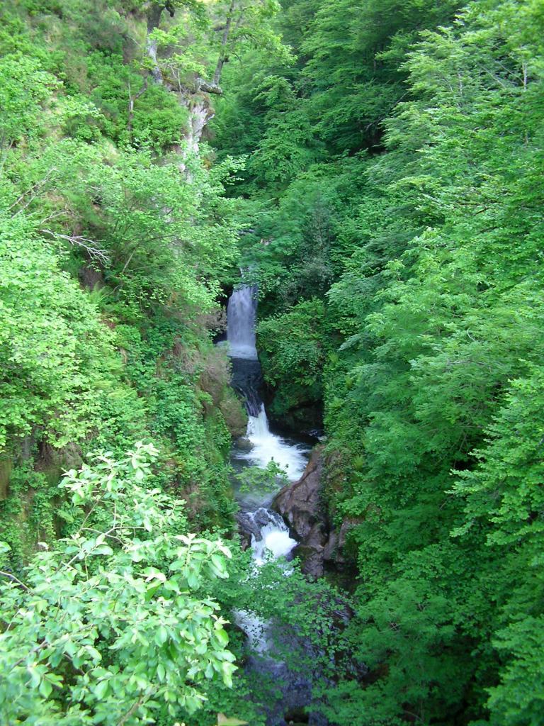Foto de Puerto de Palombera (Cantabria), España