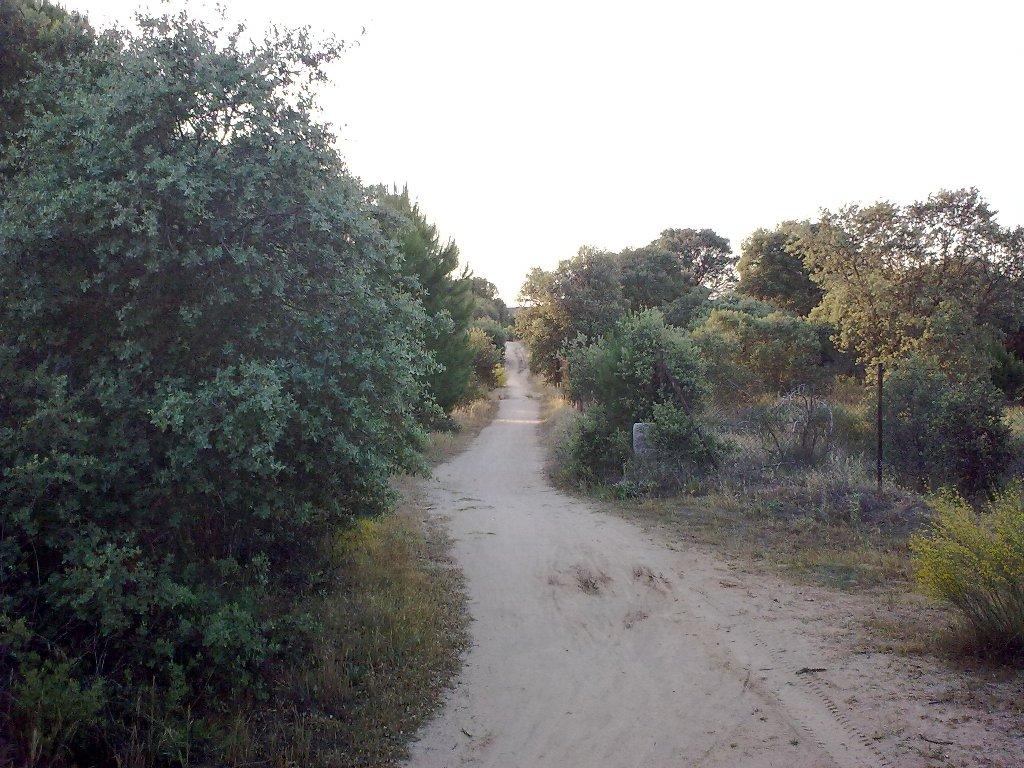 Foto de Majadahonda (Madrid), España