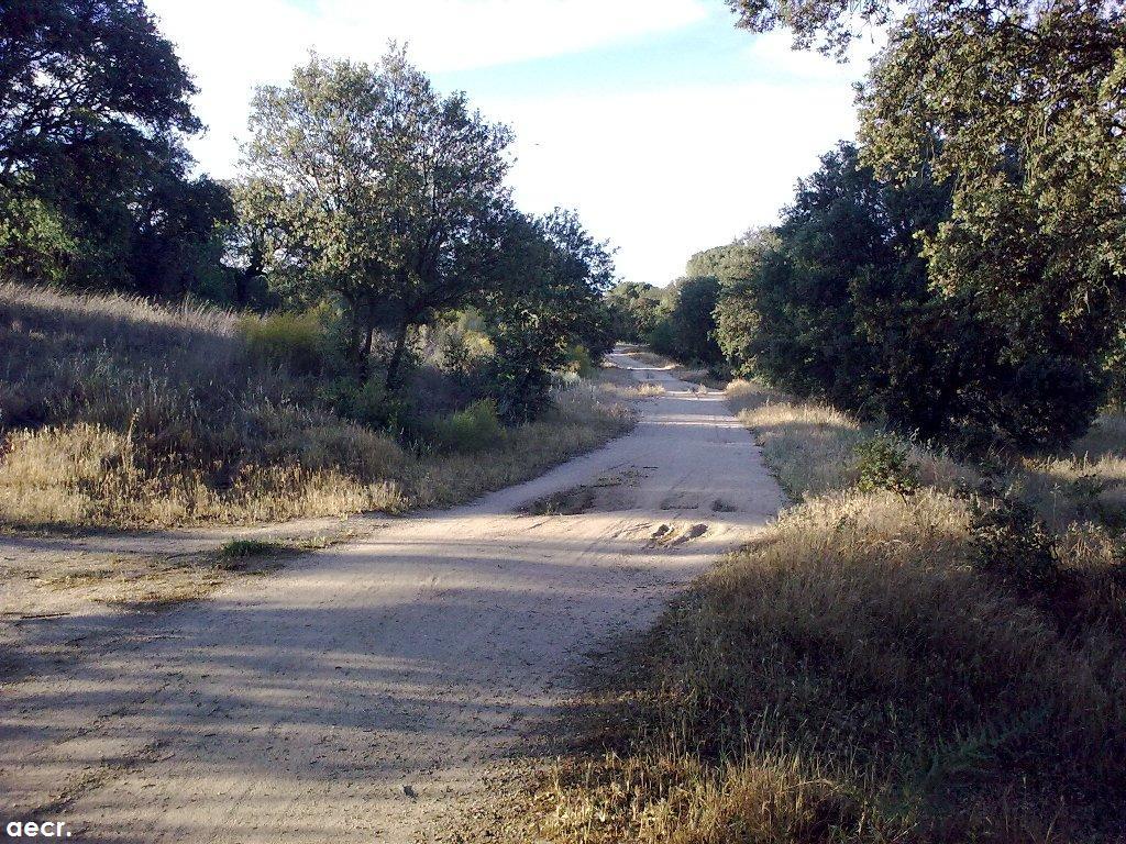 Foto de Majadahonda (Madrid), España