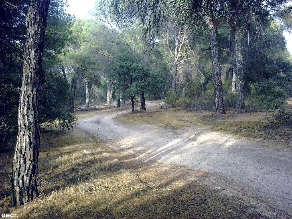 Foto de Majadahonda (Madrid), España
