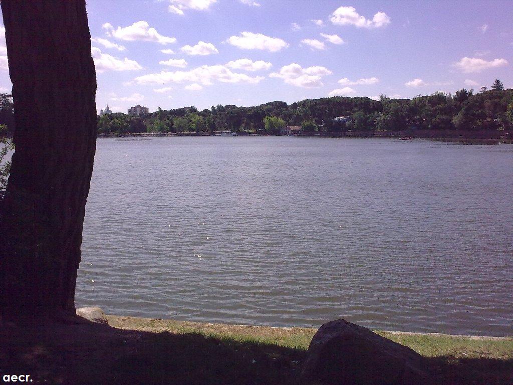 Foto de Madrid (Comunidad de Madrid), España