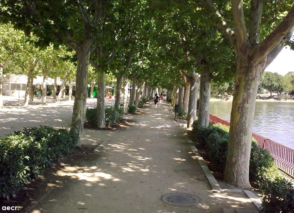 Foto de Madrid (Comunidad de Madrid), España