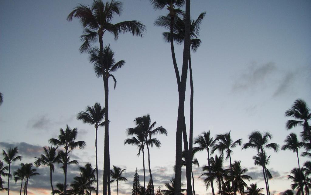 Foto de Punta Cana, República Dominicana