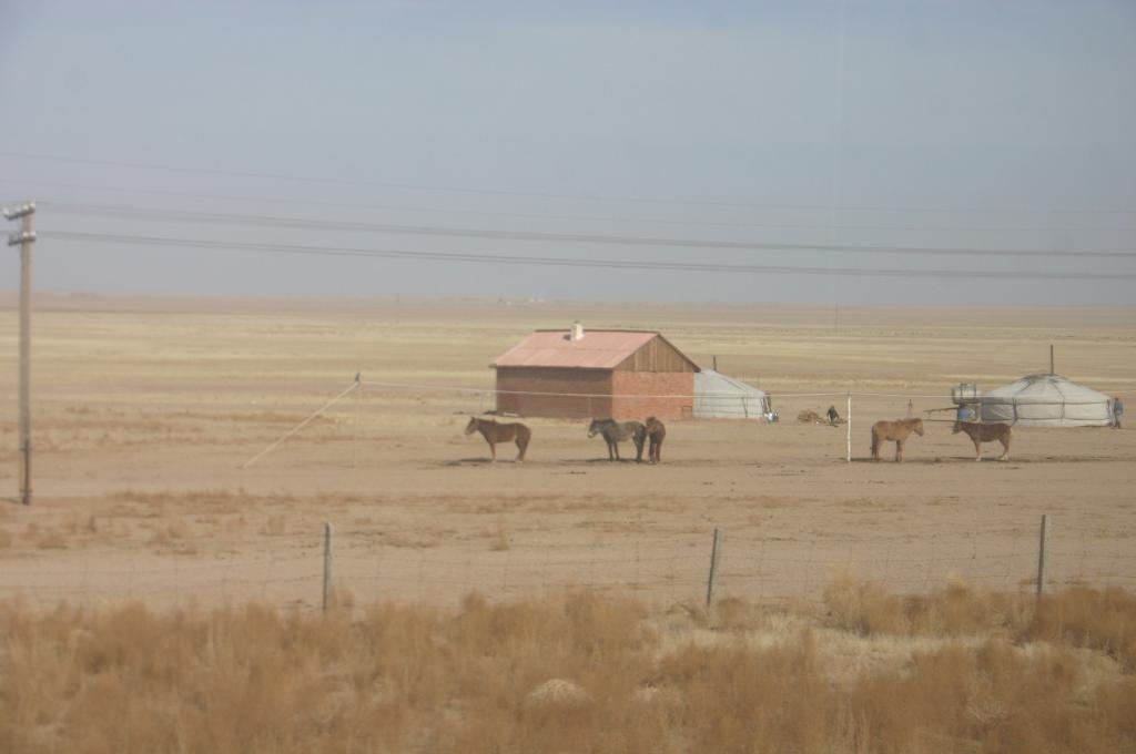 Foto de Ulan Bator, Mongolia