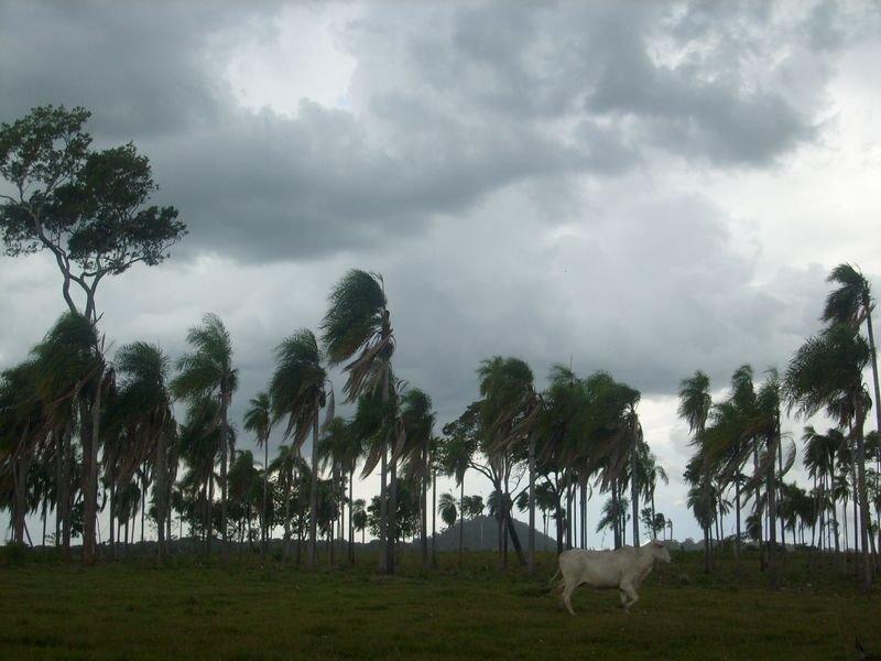 Foto de Salto Suizo (Colonia Independencia), Paraguay