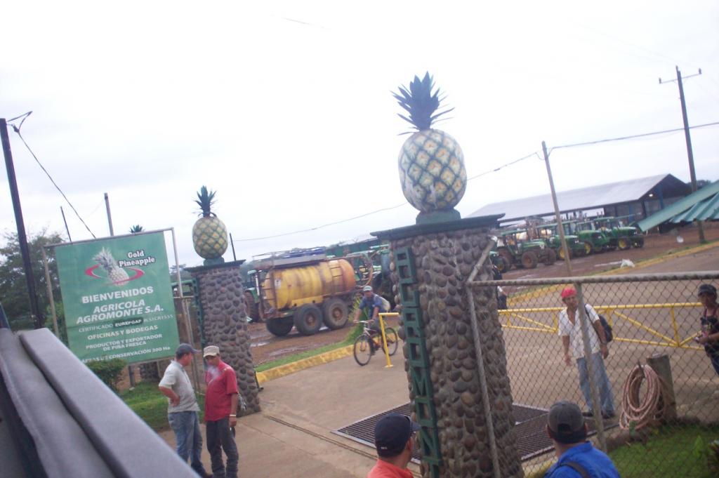 Foto de Santa Rosa (San Carlos), Costa Rica