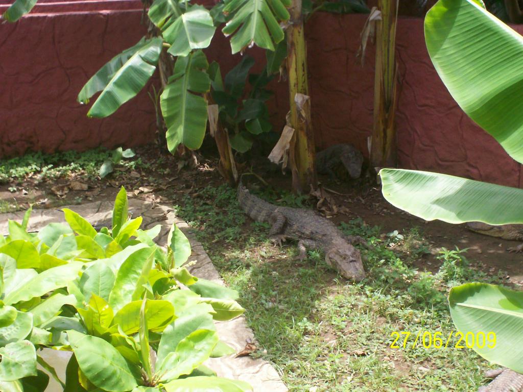Foto de Puntarenas, Costa Rica