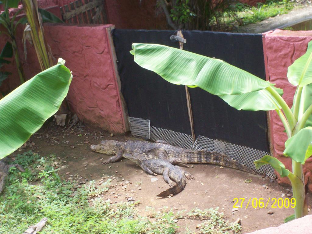 Foto de Puntarenas, Costa Rica