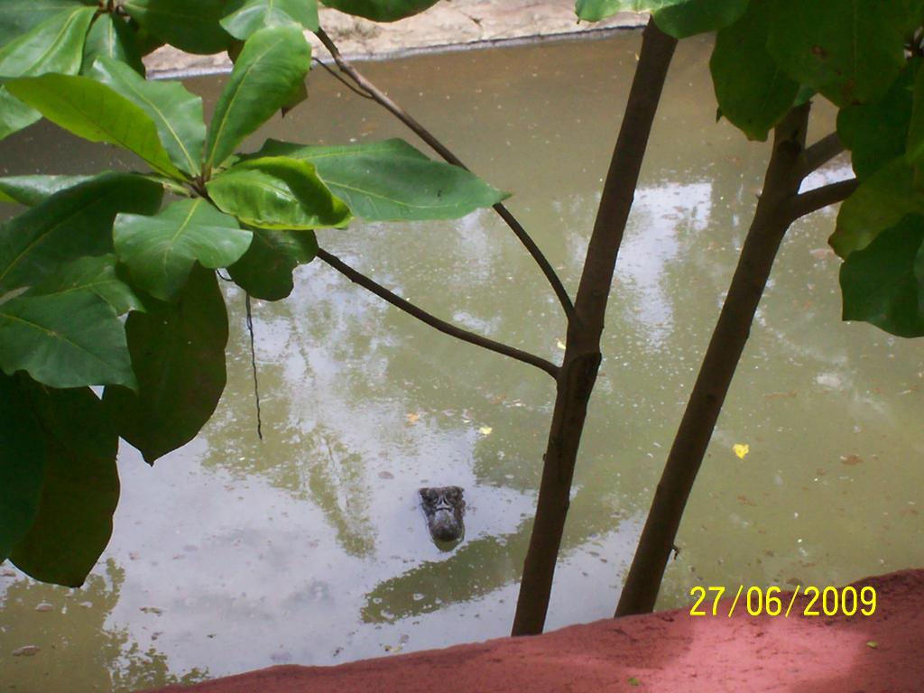 Foto de Puntarenas, Costa Rica