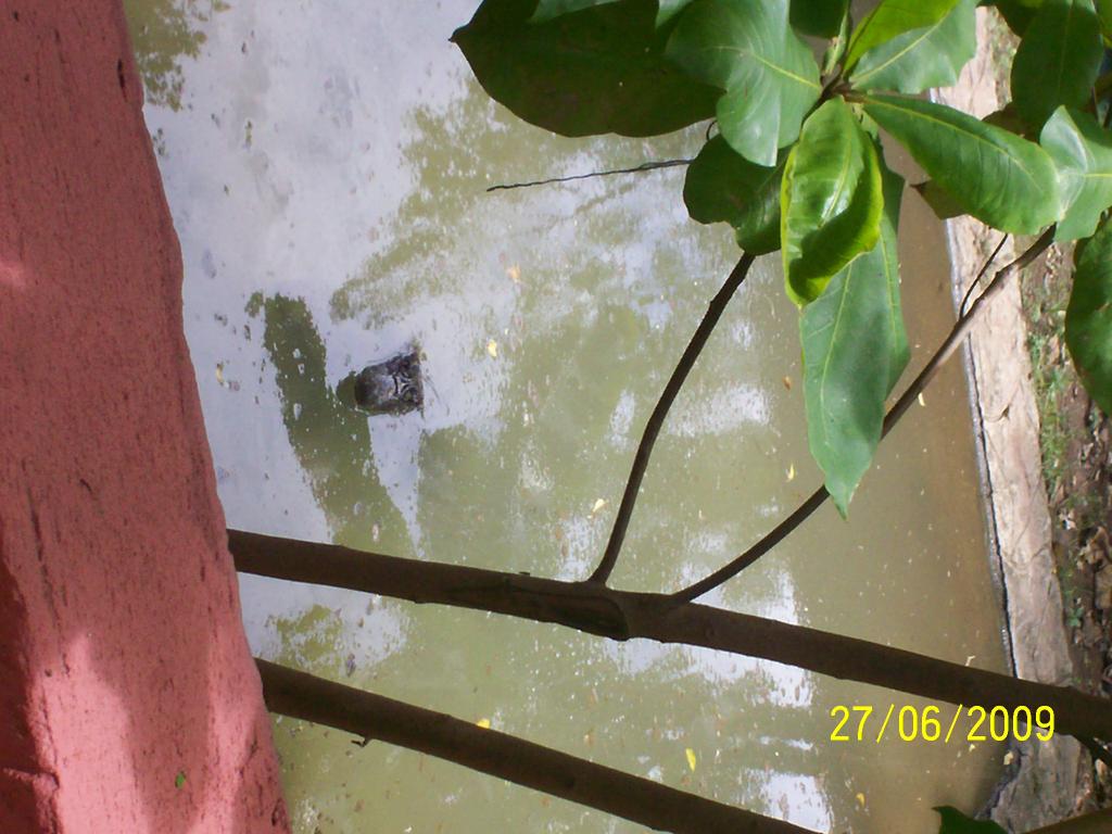 Foto de Puntarenas, Costa Rica