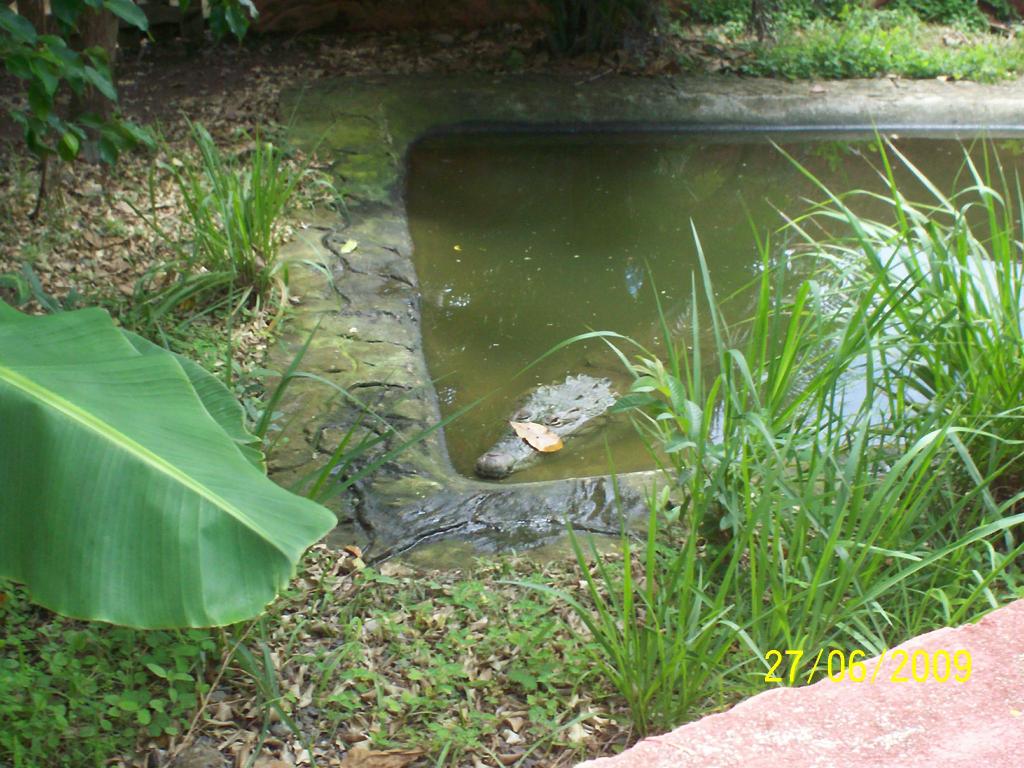 Foto de Puntarenas, Costa Rica