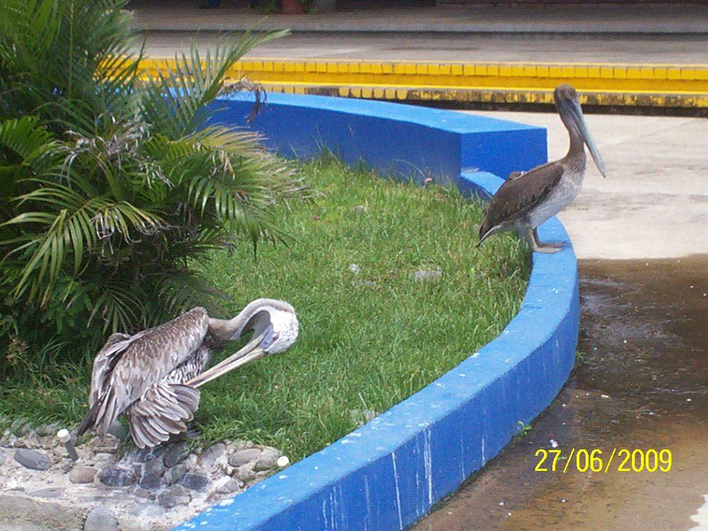 Foto de Puntarenas, Costa Rica
