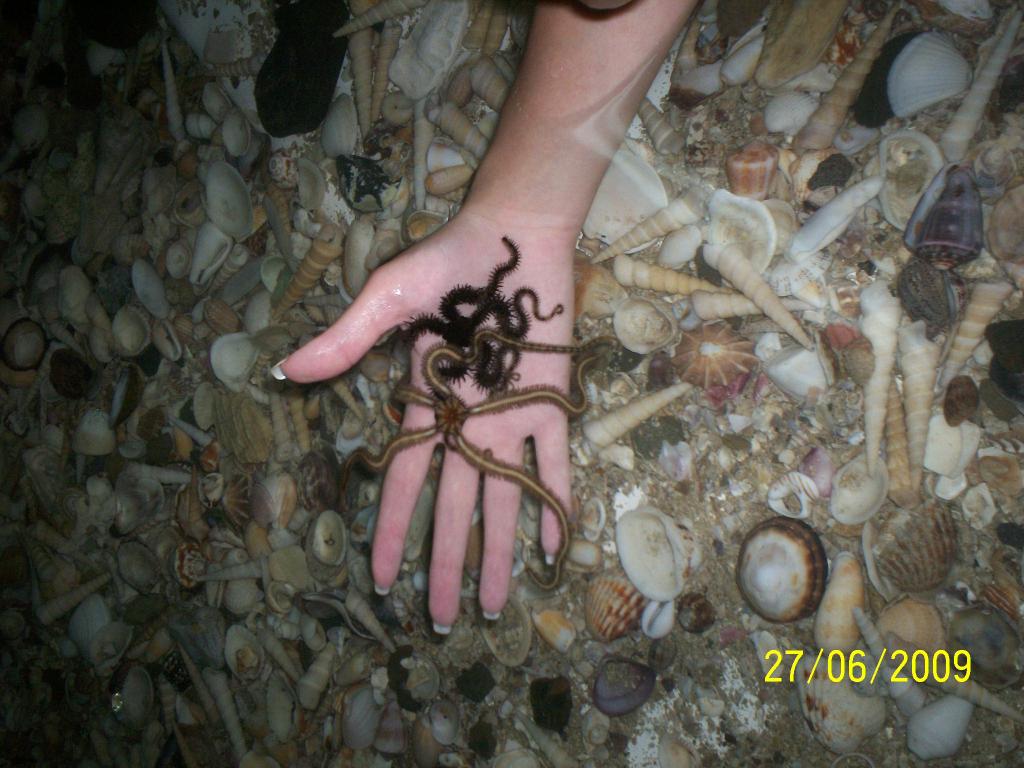 Foto de Puntarenas, Costa Rica