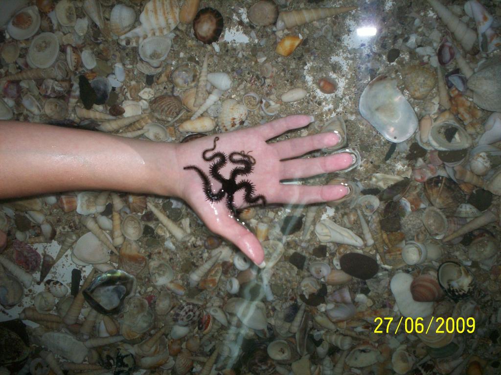 Foto de Puntarenas, Costa Rica