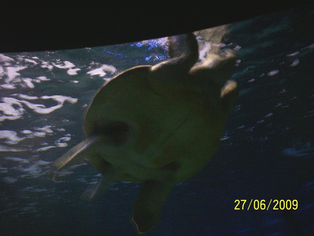 Foto de Puntarenas, Costa Rica