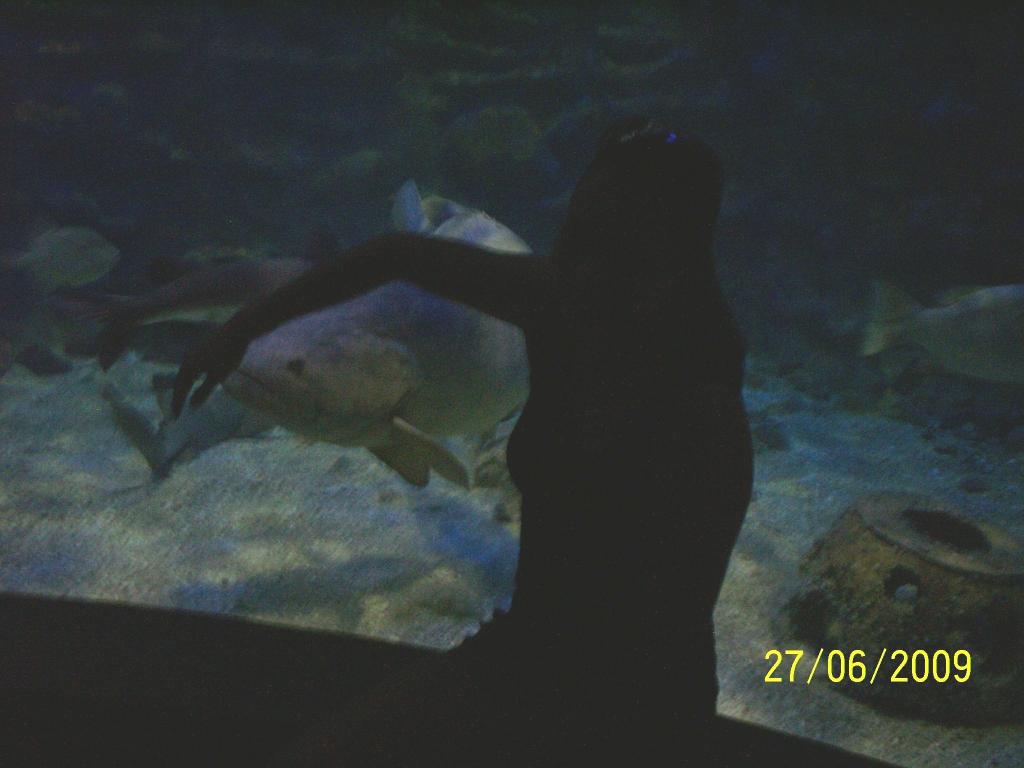 Foto de Puntarenas, Costa Rica