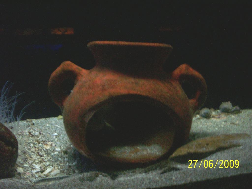 Foto de Puntarenas, Costa Rica