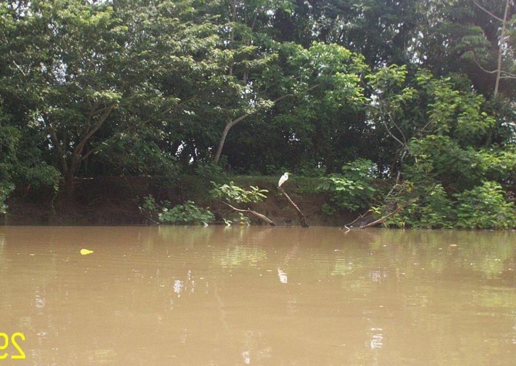 Foto de Los Chiles (Alajuela), Costa Rica