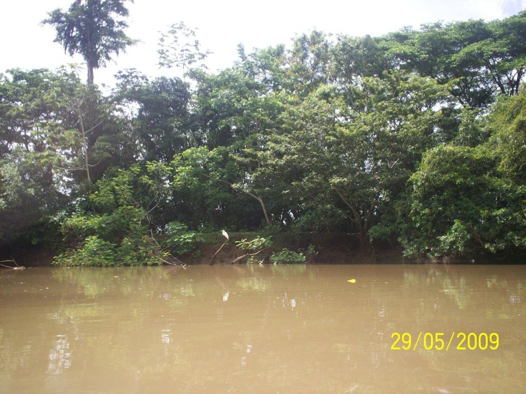 Foto de Los Chiles (Alajuela), Costa Rica