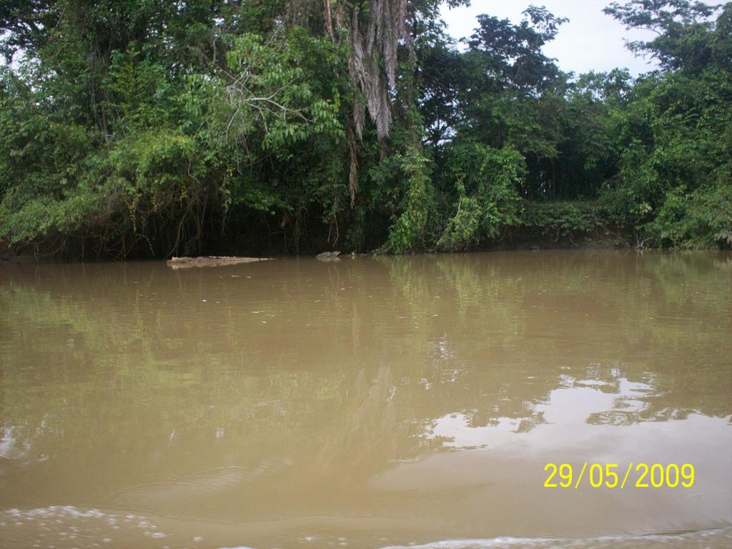 Foto de Los Chiles (Alajuela), Costa Rica