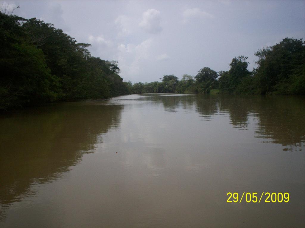 Foto de Los Chiles (Alajuela), Costa Rica