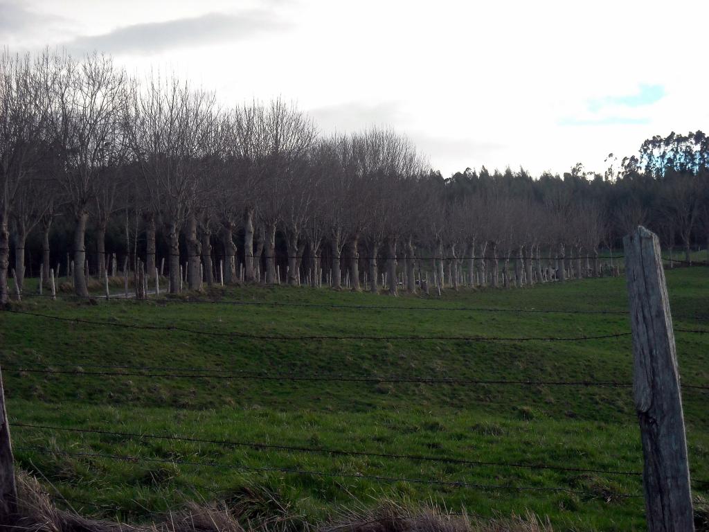 Foto de Parbayon (Cantabria), España