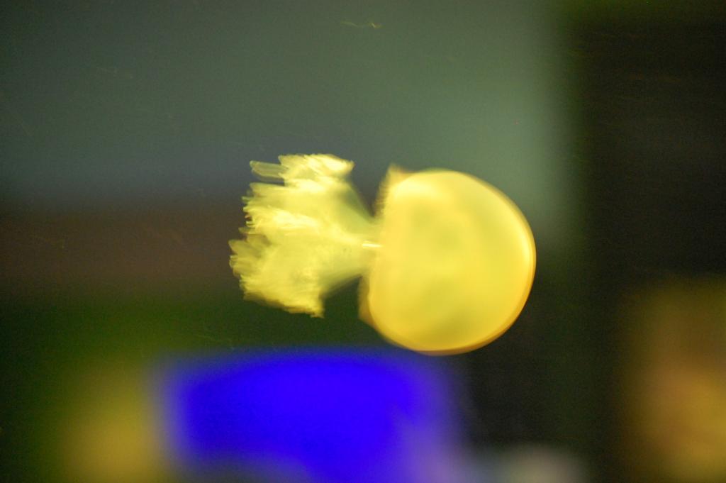 Foto de A Coruña (Galicia), España